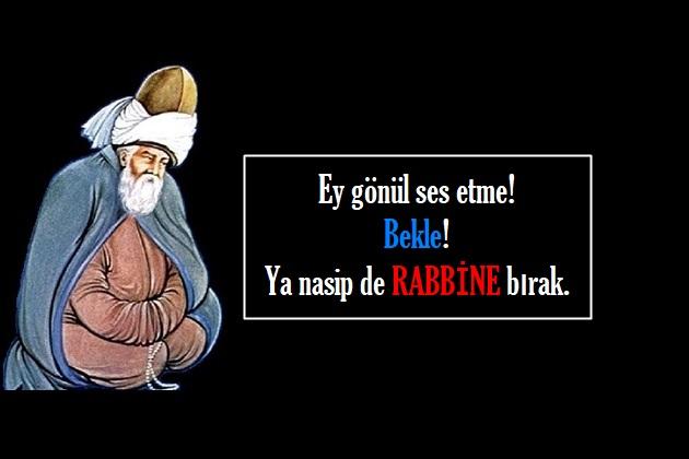 Sitemli Mevlana Sözleri