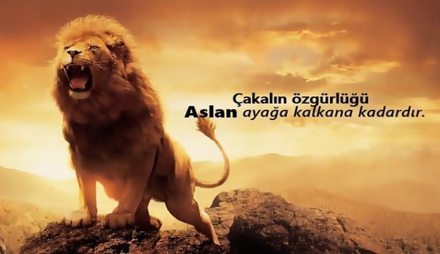 resimli delikanlı sözler