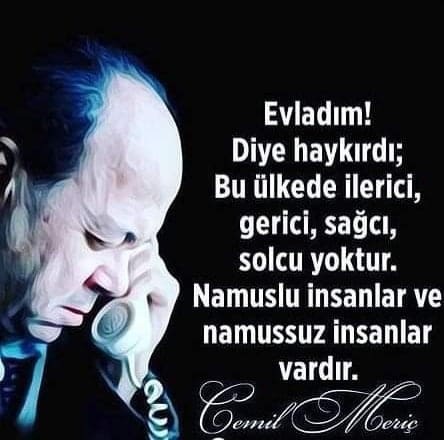 Cemil Meriç Anlamlı Sözleri