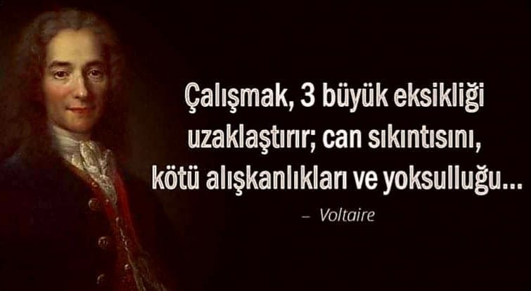 En Güzel Voltaire Sözleri