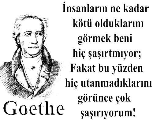 Johann Wolfgang Von Goethe Etkileyici Sözleri