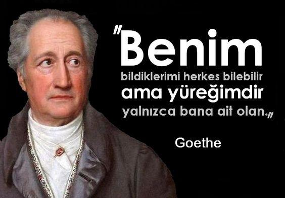 Johann Wolfgang Von Goethe Resimleri 