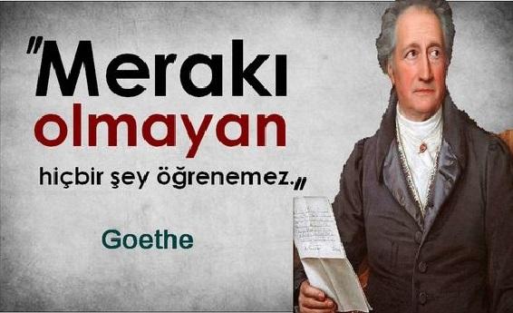 Johann Wolfgang Von Goethe Resimleri