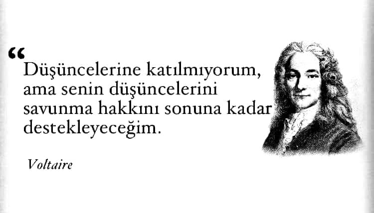 Voltaire Resimleri 