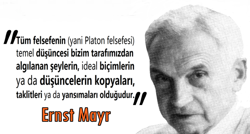 Filozof Platon Sözleri