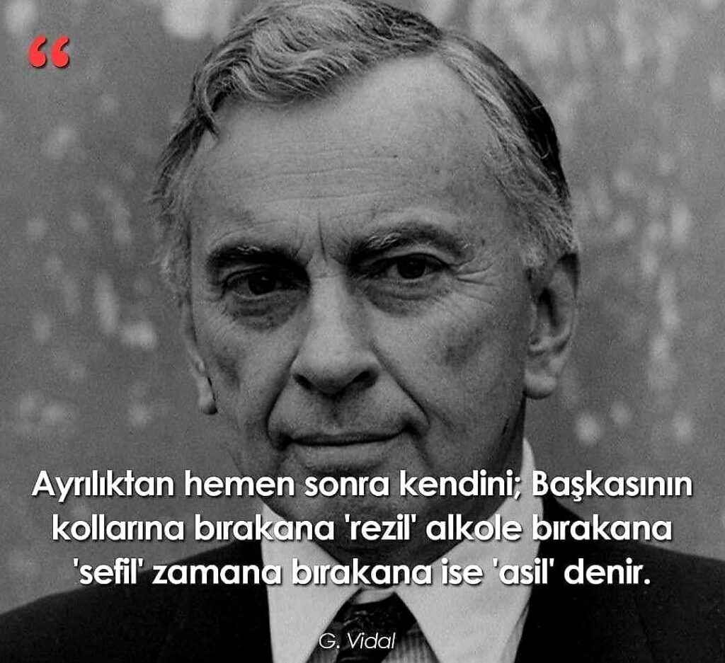 Gore Vidal Anlamlı Sözleri