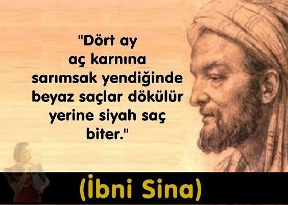 İbni Sina Resimleri