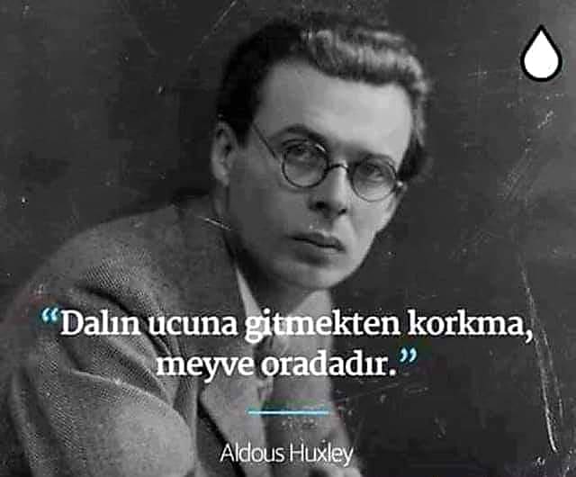 Kısa Aldous Huxley Sözleri