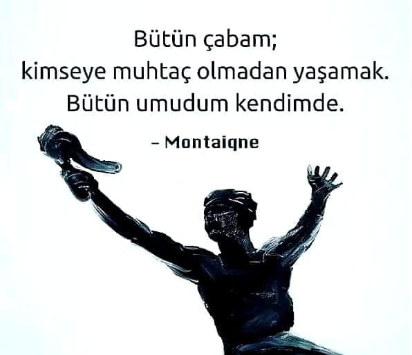 Montaigne Resimli Sözleri