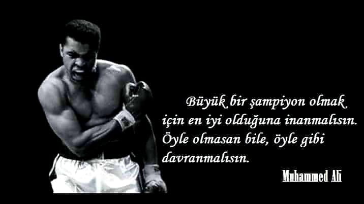 Muhammed Ali Resimleri