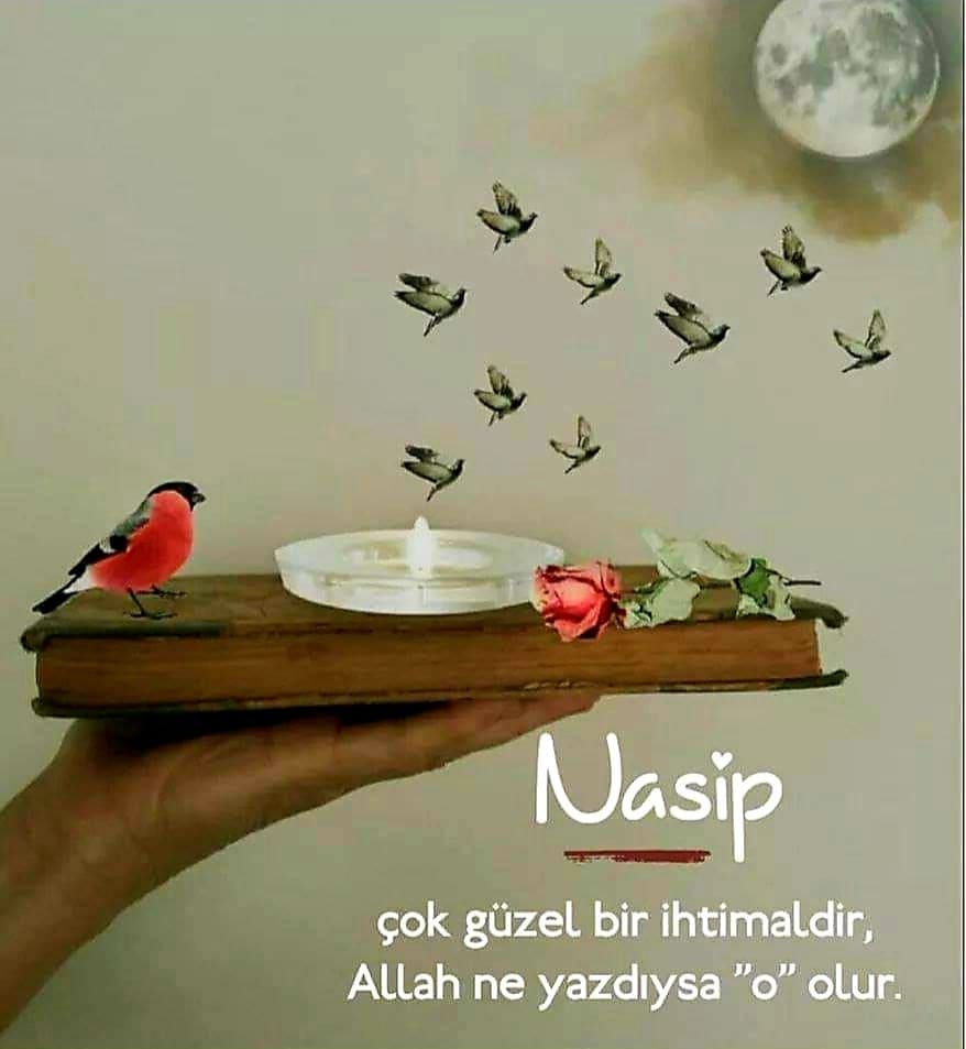 Anlamlı Nasip Mesajları