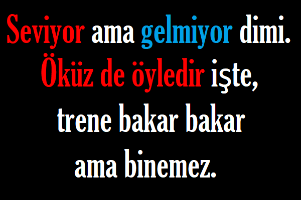Kısa Geyikli Sözler