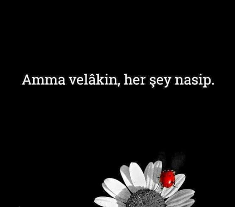 Kısa Nasip Mesajları