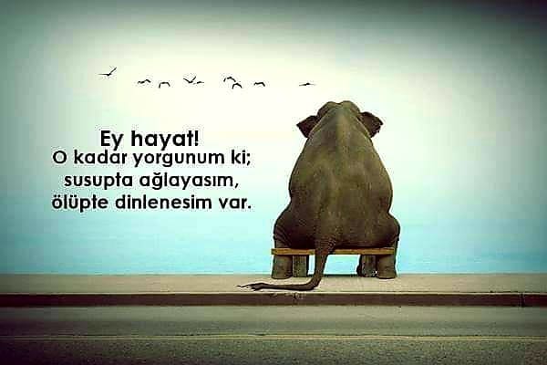 Üzgün Mesajlar