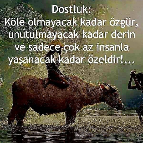 Etkileyici Dost Sözleri