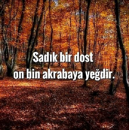 Kısa Dost Sözleri