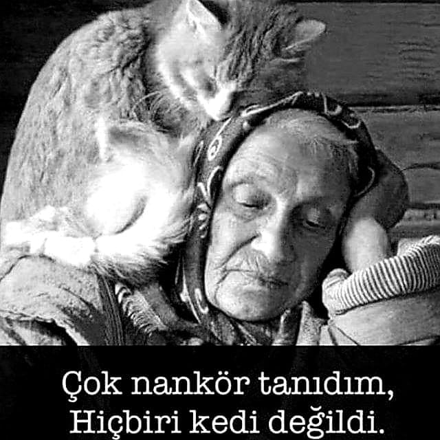 Kısa Nankörlük Sözleri