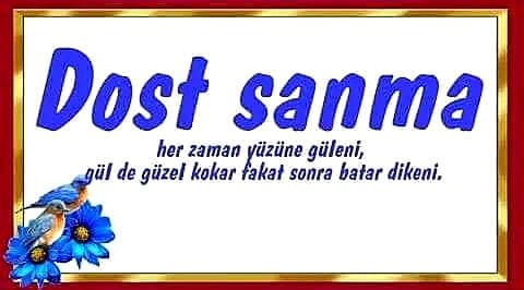 Resimli Dost Sözleri