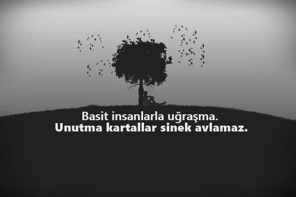 Kısa Havalı Sözler